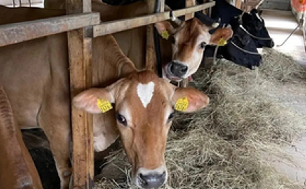 3000円感謝のメールコース