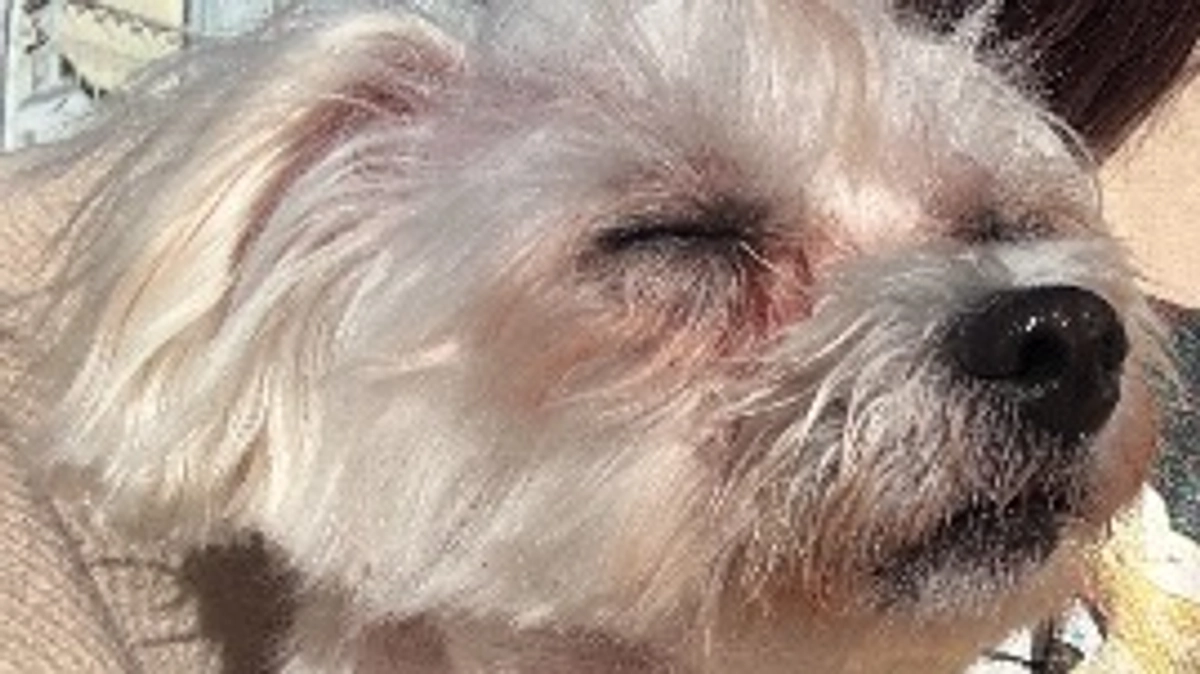 ‼️🚨本日手術です🚨‼️今日の予定について