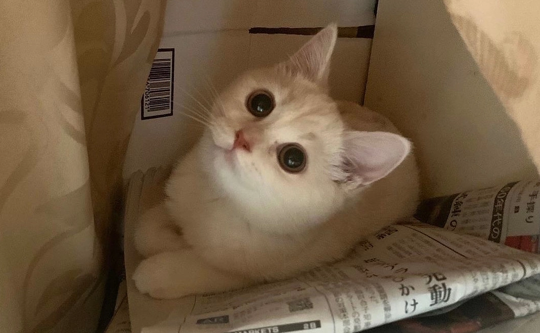 みしぇるがんばれ！