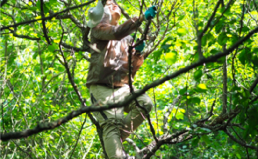 ‖あなたの町に収穫に伺います