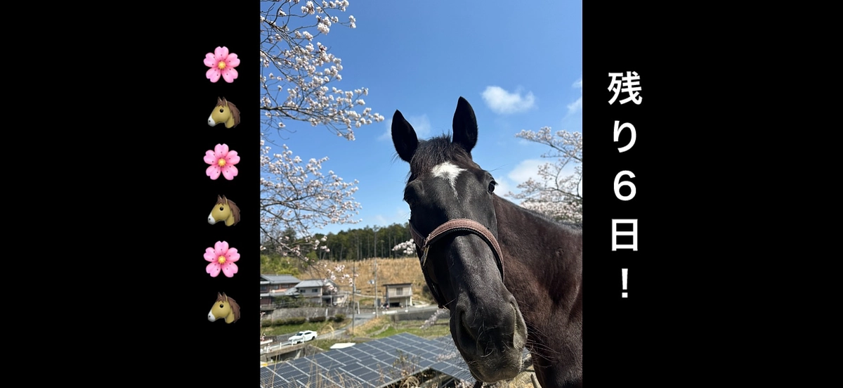 【残り６日！】たくさんの応援に感謝！