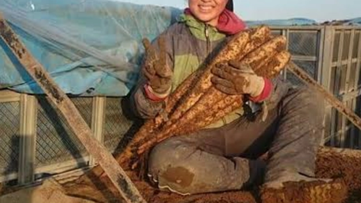 嫁でも後継者でない25歳農業ガールズが農業運営にチャレンジ！