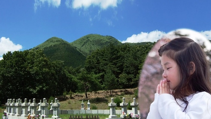 阿蘇のふもとに、安心・低価格の「樹林墓地」をつくりたい