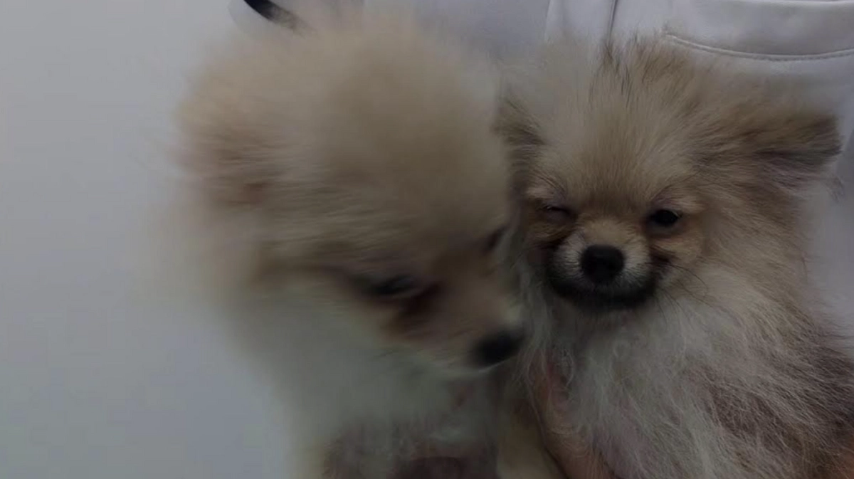 たくさんの感謝を胸に。そしてオタとソースの話。