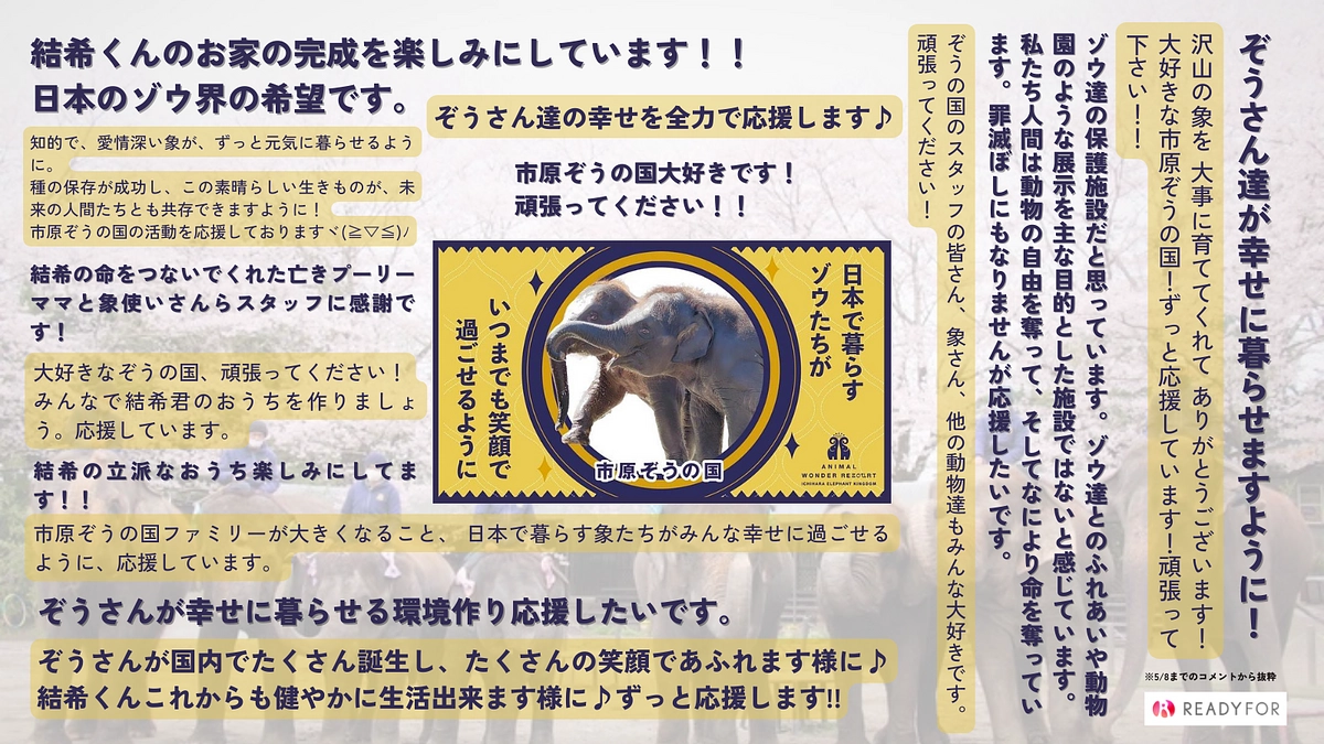 皆さんからの嬉しい応援コメントのご紹介