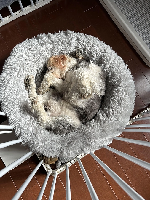 手術無事成功しました！！