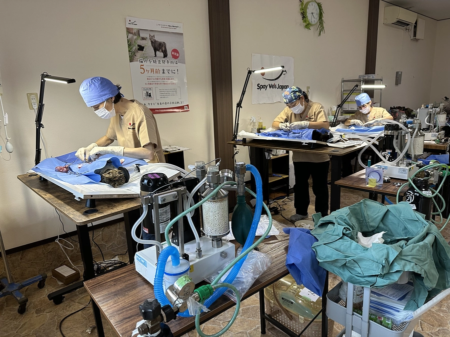 9月7日　犬猫繁殖予防病院（南紀白浜）開院しました！！