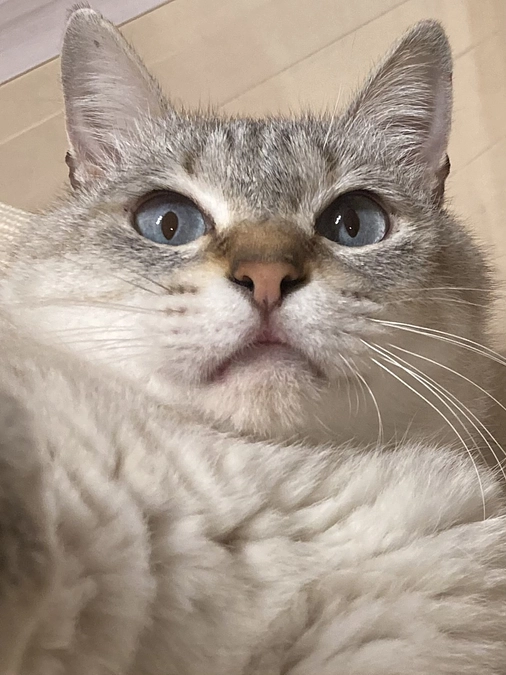 【つくし君】予防接種のお知らせ