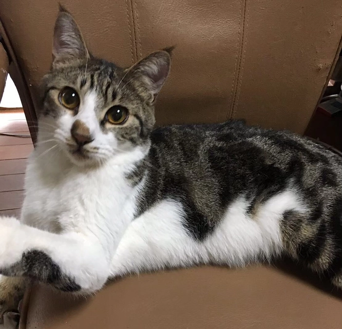 ゆらりの名称の由来