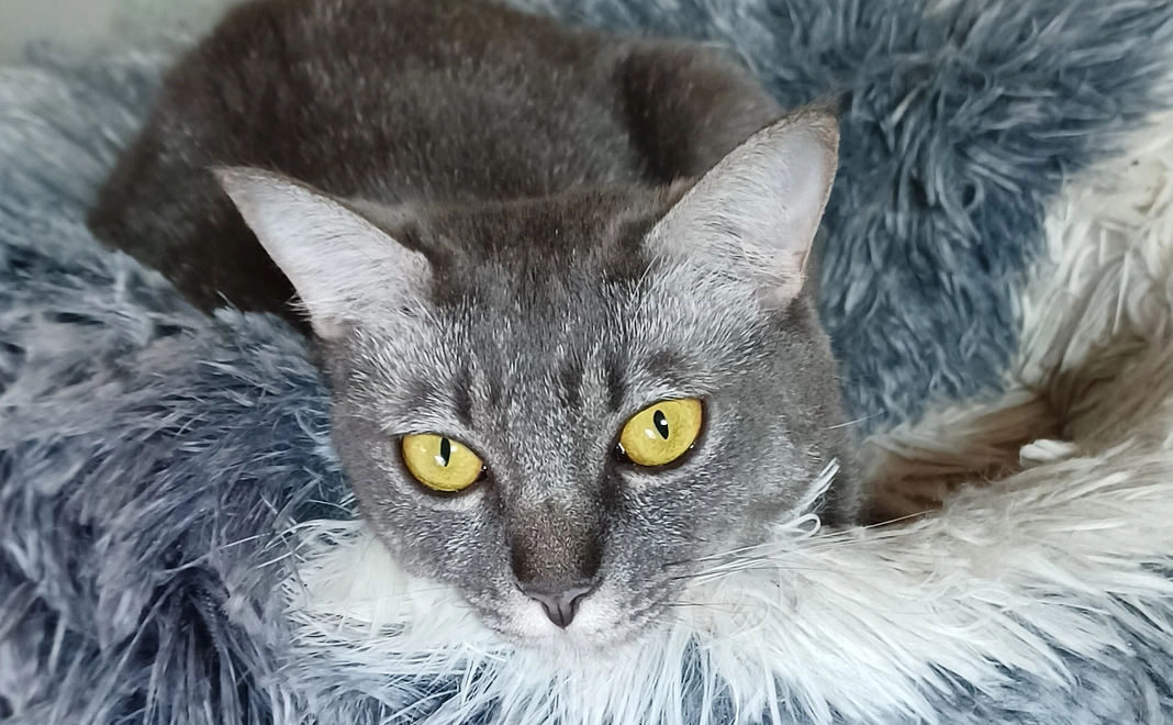 感謝のメール⑥