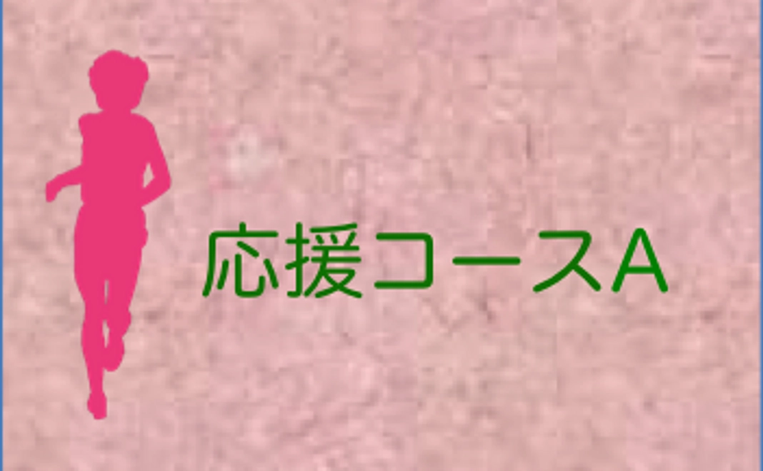 応援コースA