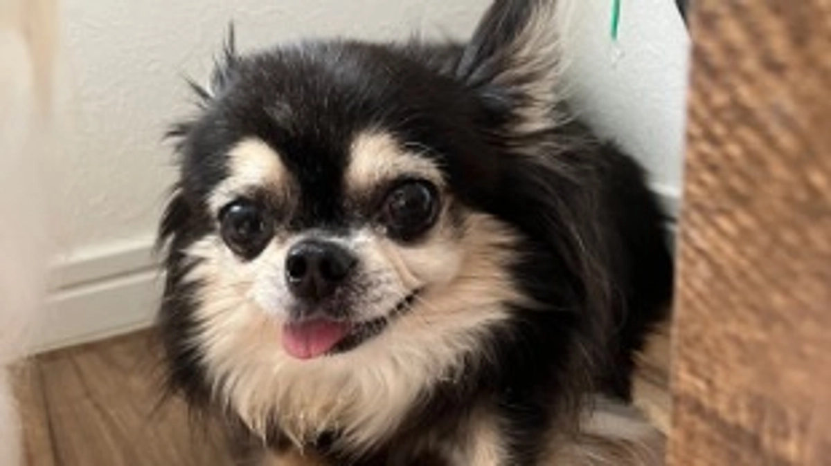 プロジェクト公開させていただきました。