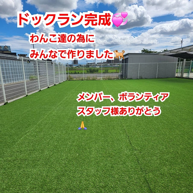 ドッグラン改修工事完了しました