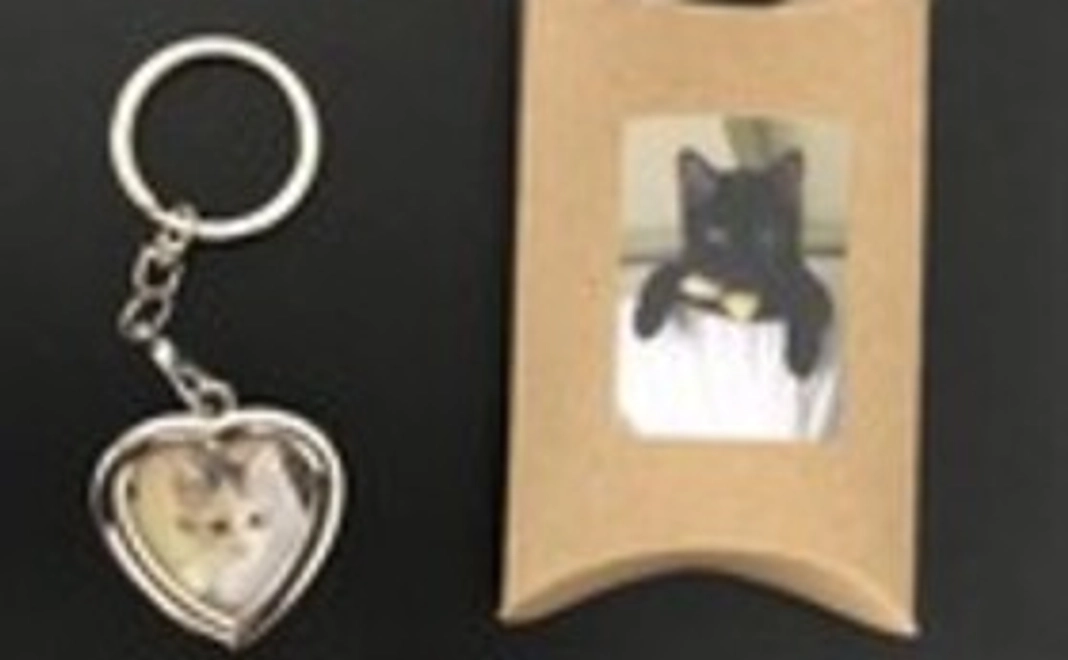お礼のお手紙・メッセージカード（３枚組）・卓上カレンダー・ねこキーホルダー・『保護猫あんちゃん』新聞