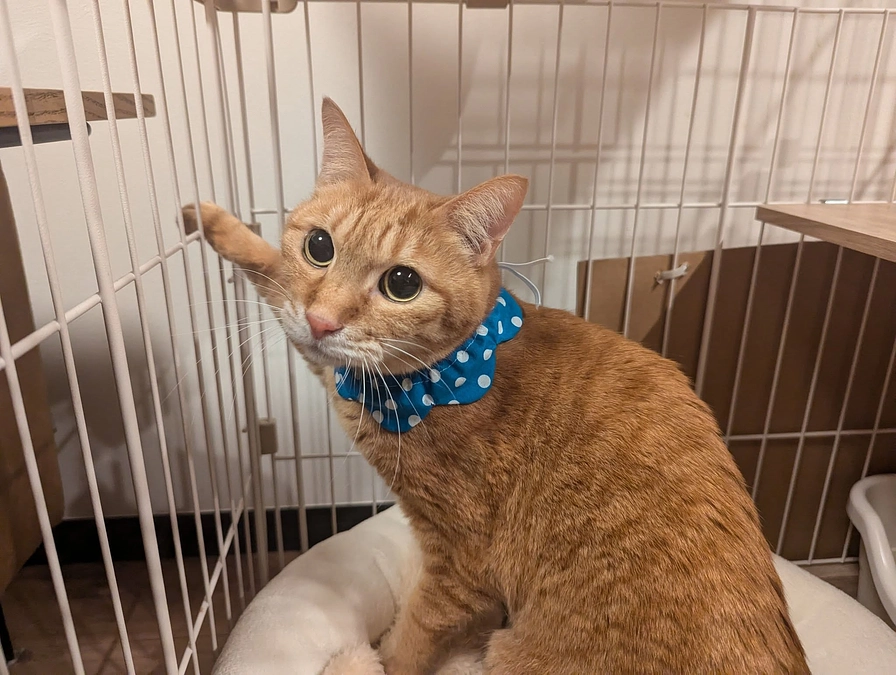 １月２５日はおでんくんとうどんくんのお届けでした♪