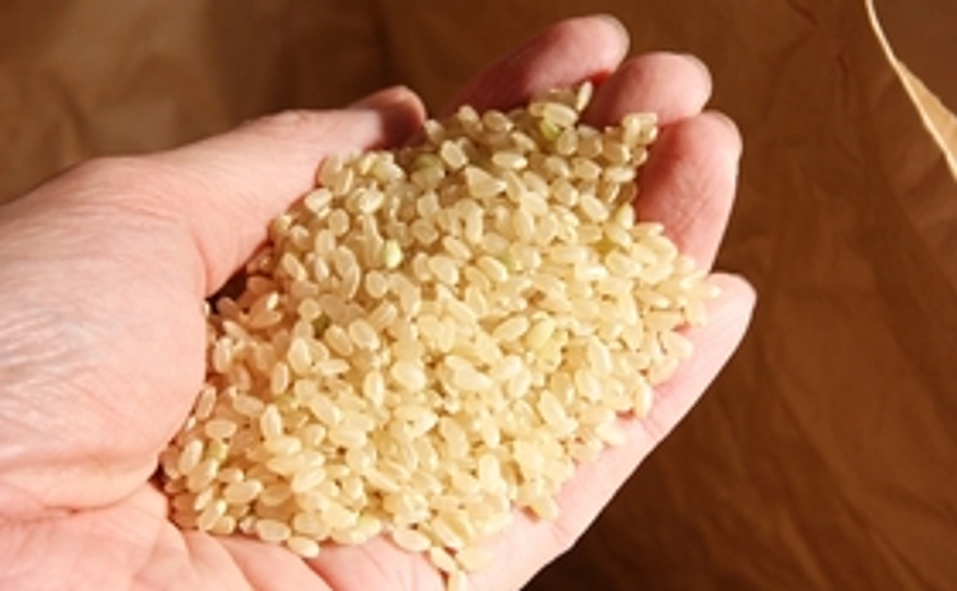 お米10kg　プレゼント