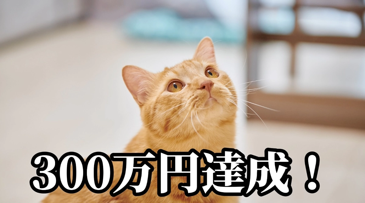 300万円達成！！