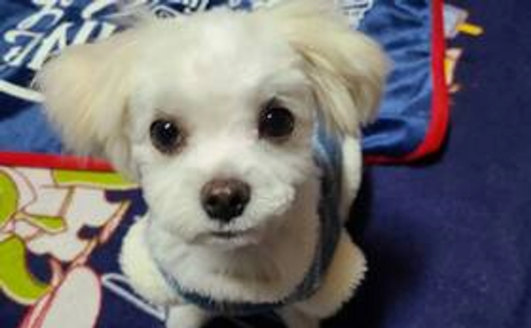 そらのご支援　1,000円