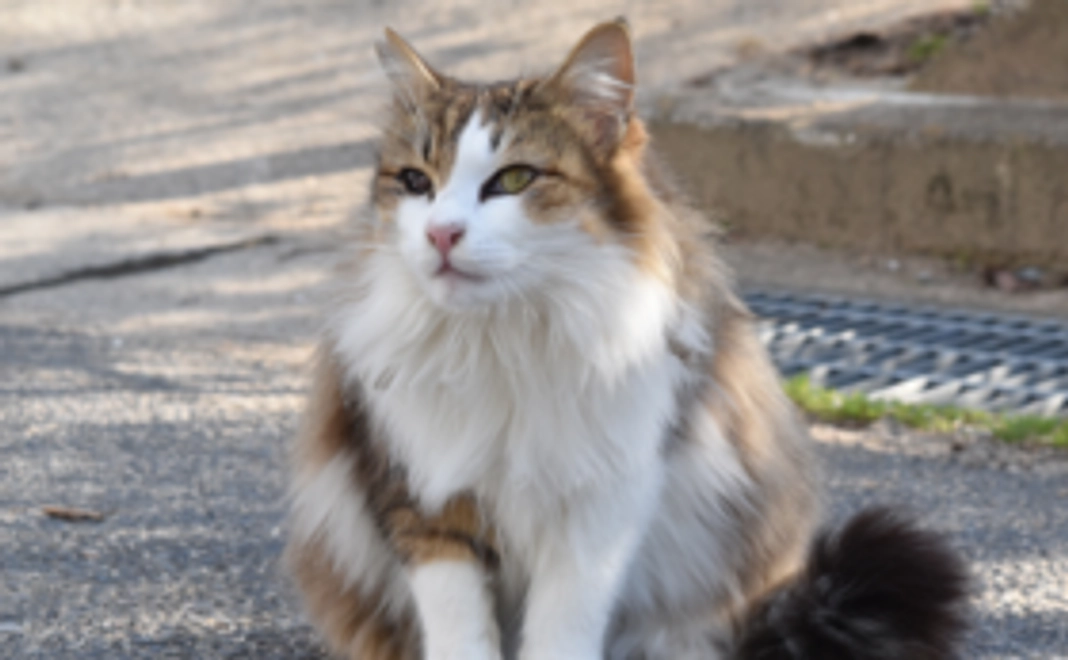 3,000円全額活動資金へ