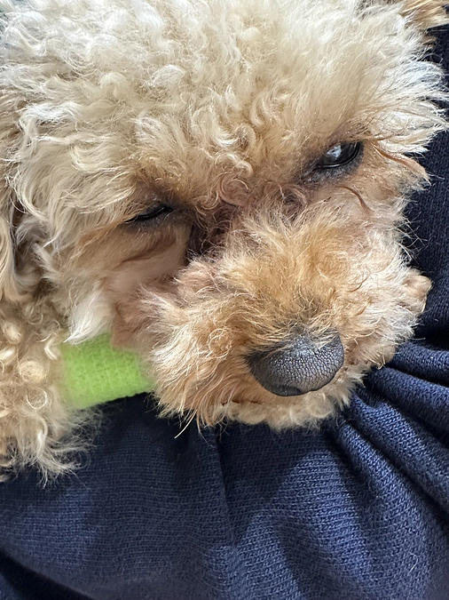 MRI・CT検査を受けました