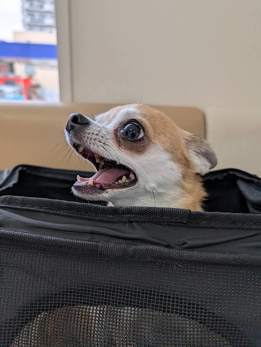 7/12 　手術前日、入院