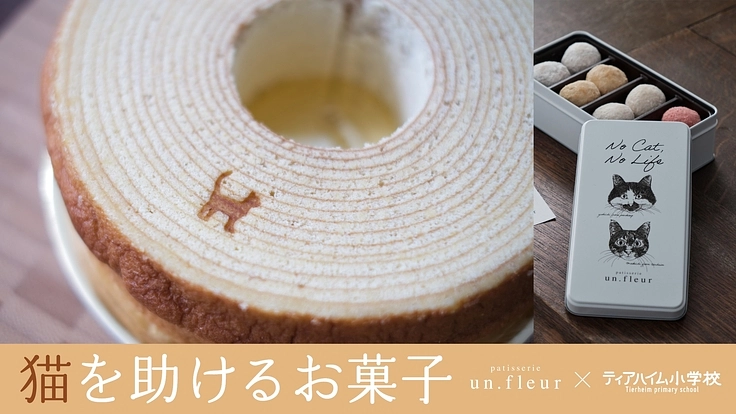 保護猫に未来を！絶品洋菓子をリターンに保護猫施設をご支援下さい！
