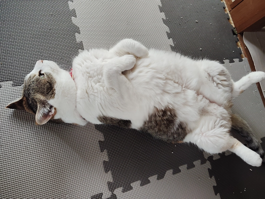 暖かいご支援、応援ありがとうございます！