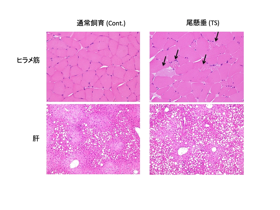粘り強い活動！