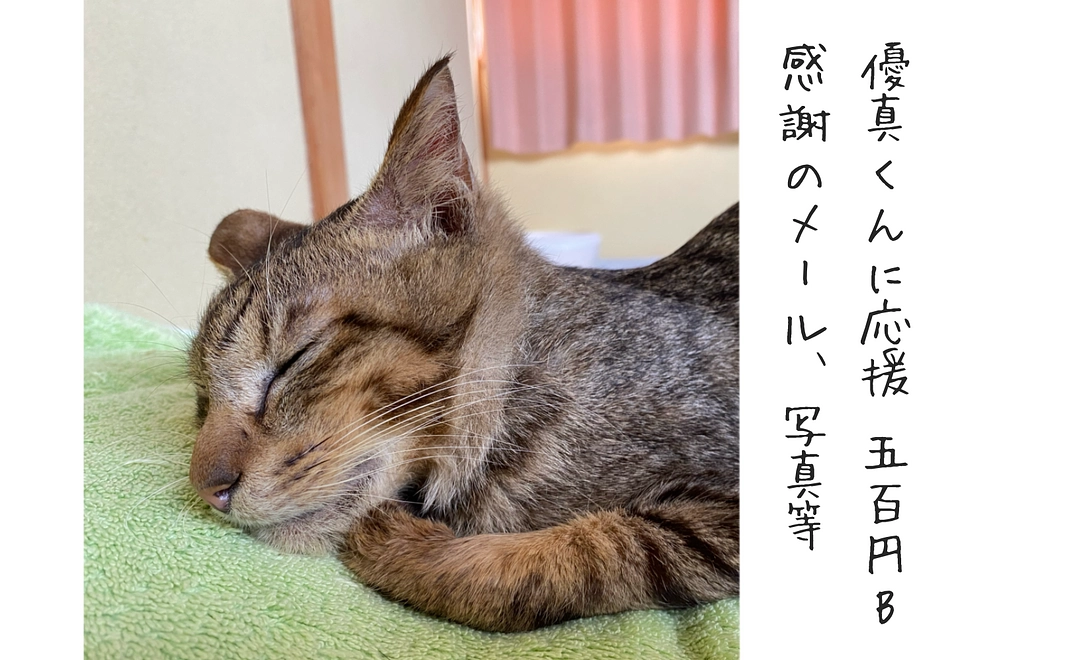 優真くんに応援 500円B