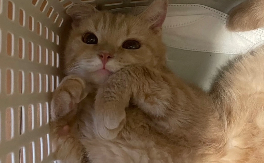 感謝のメール【10】