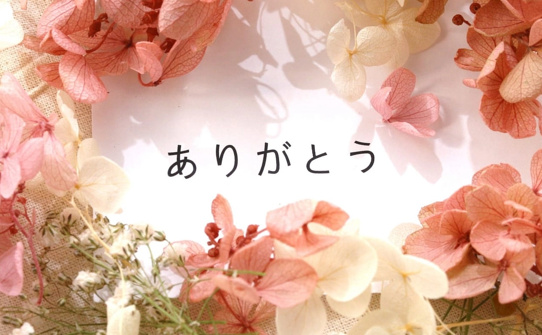 応援5,000円コース