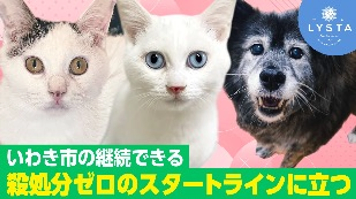 残り10日時点でネクストゴール発進を目指します！