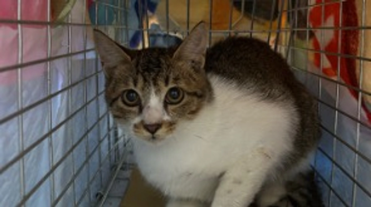 小さな体で手術を頑張った姫ちゃん❤️