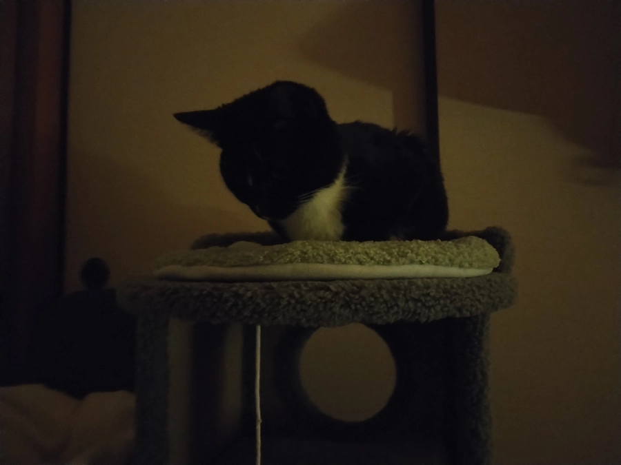 2/19はなちゃんの様子