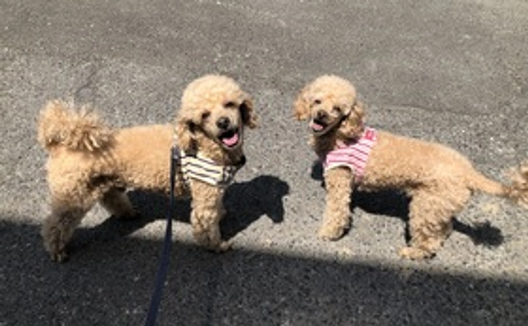 もなか応援コース1（リターン不要の方へ）