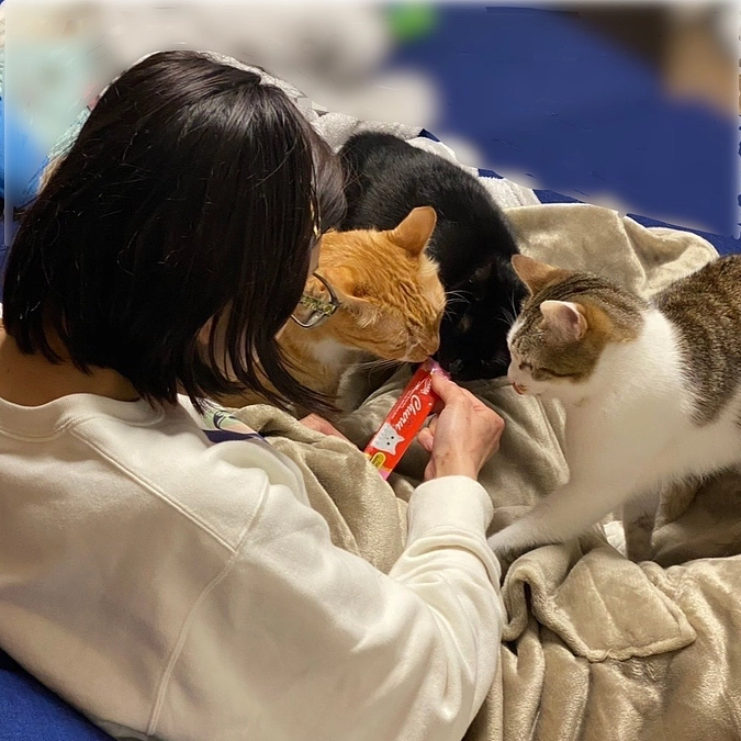 【250万まであと１９万！】続ボランティアさん応援メッセージリレー📣