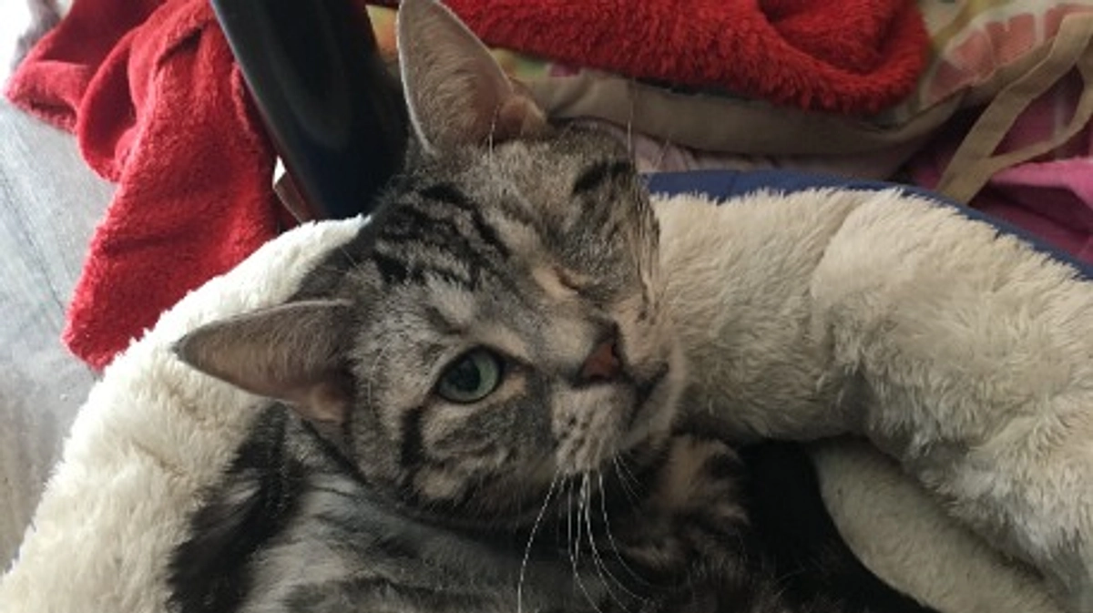 残り9日となりました…。