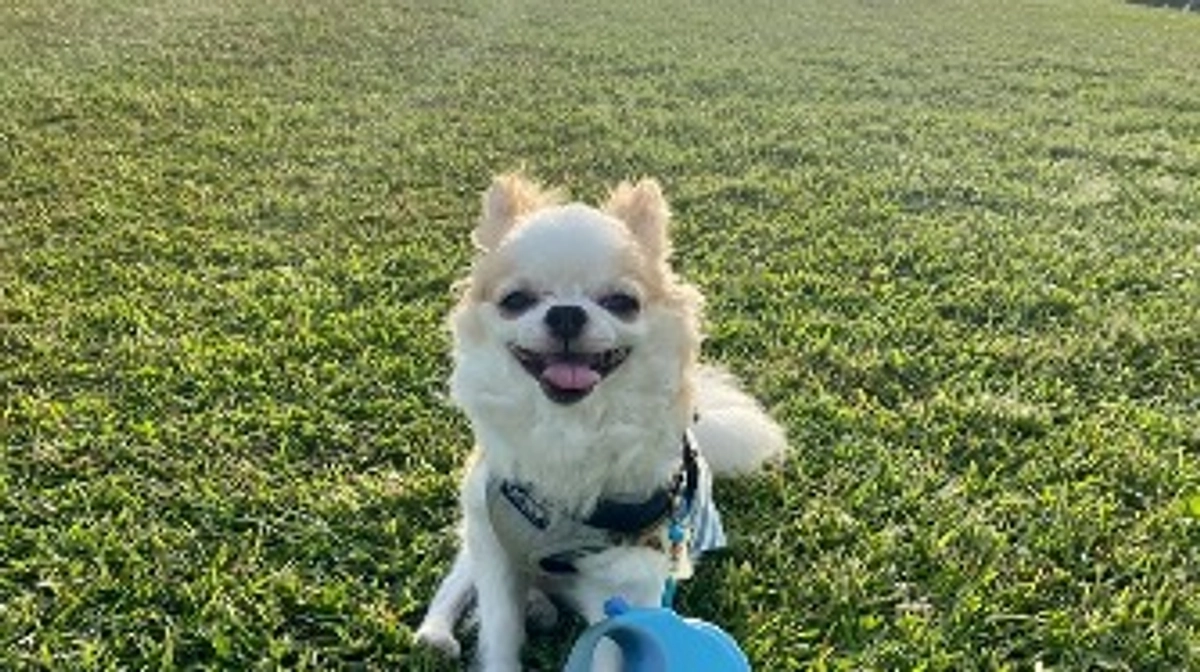 四十九日を迎えました