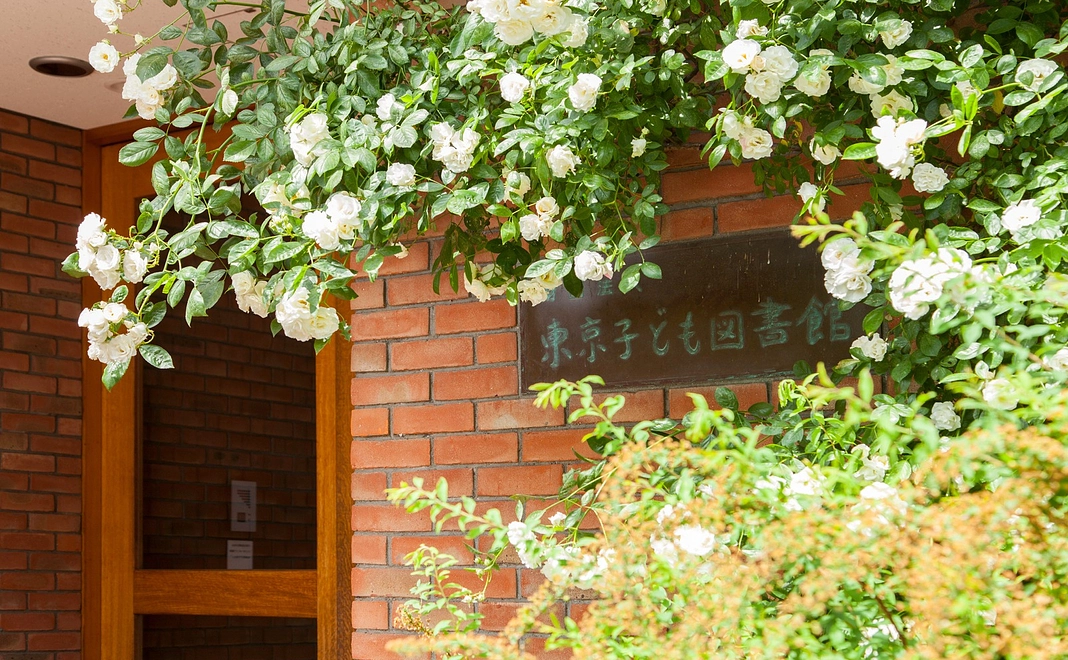 【応援の第一歩】コース　※リターンが不要な方向け