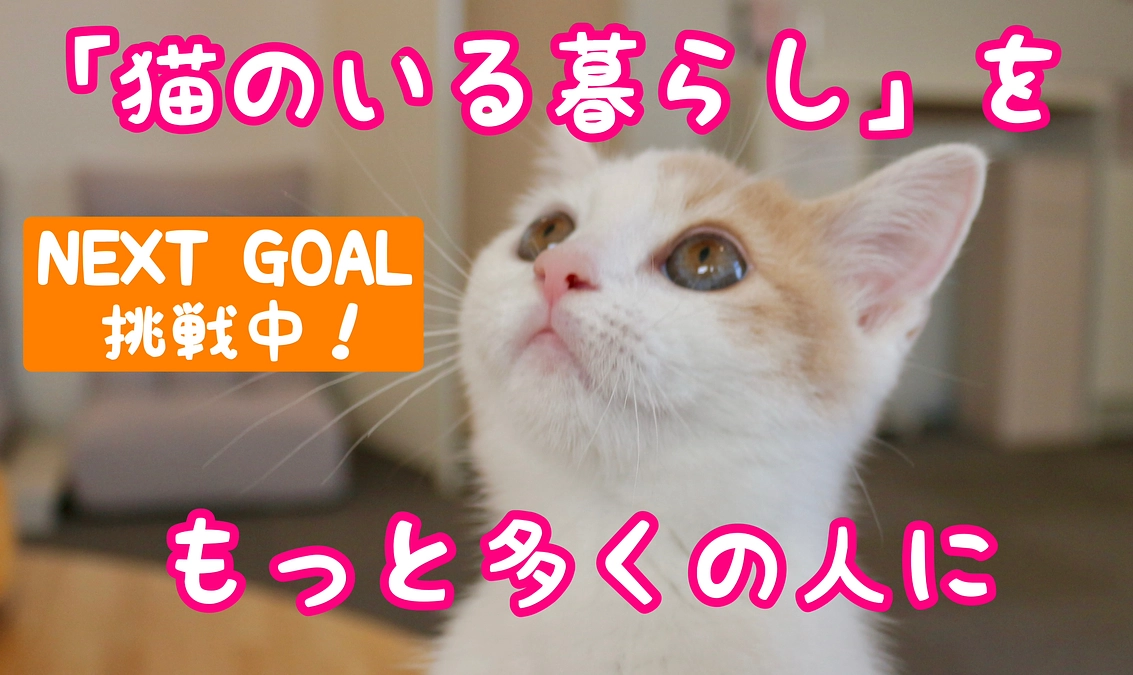 NEXT GOALへの挑戦