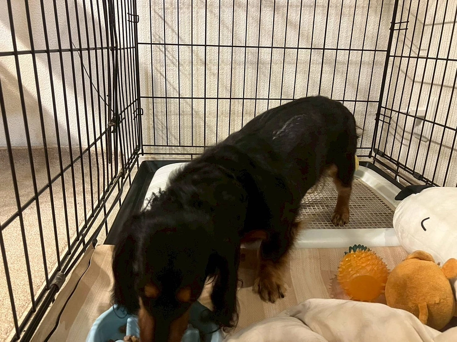 【ご飯タイム＝リハビリタイム🍚】