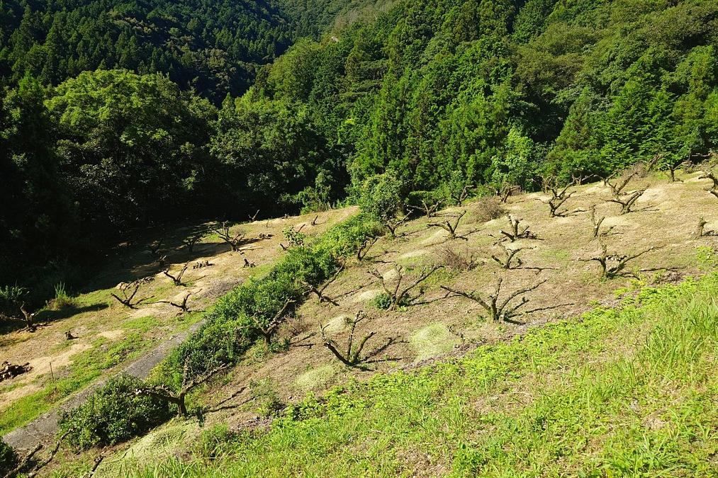 締め切りまで残り9日