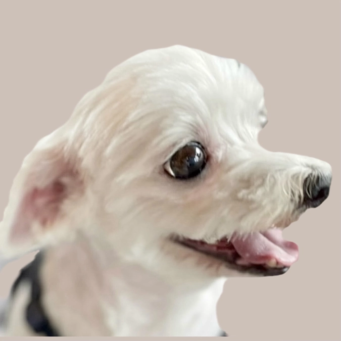 クラウドファンディングをはじめて一週間が経ちました❗️