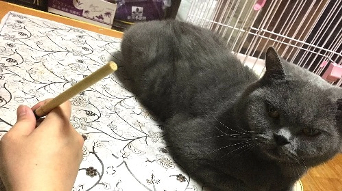 組合員紹介「びんがた工房　ねこのひげ」