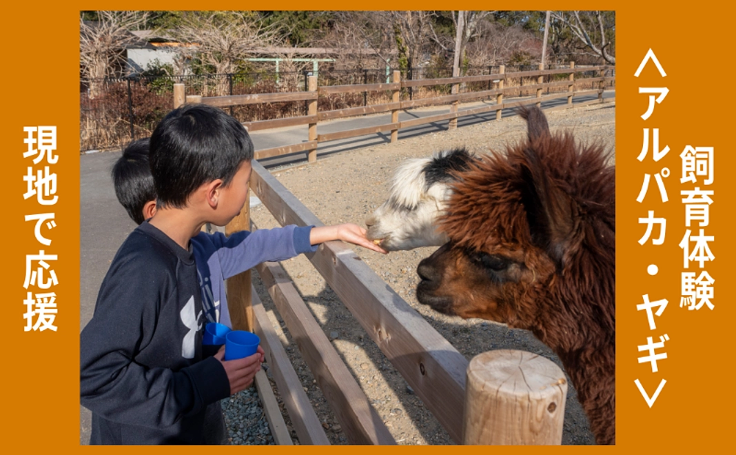 現地で応援｜飼育体験＜アルパカ・ヤギ｜4/12(日)＞（2名まで可）
