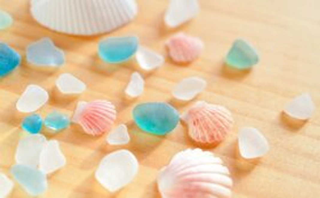 海からのプレゼント