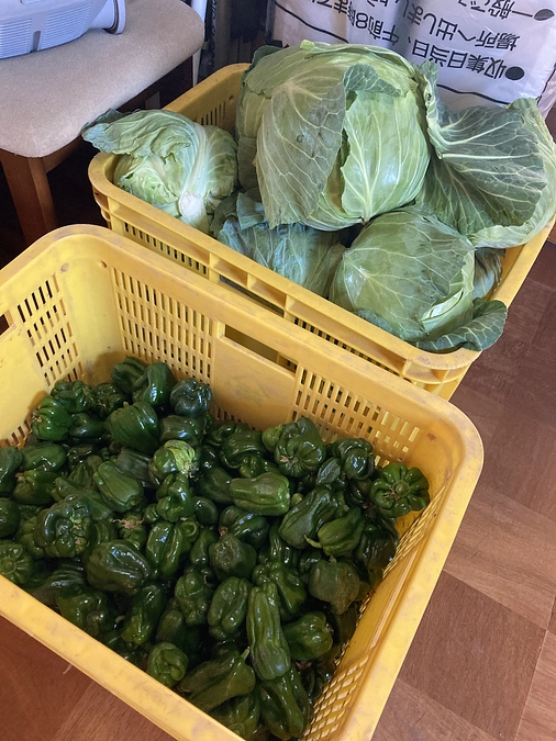 NEXT GOAL終了まであと6日となりました‼️