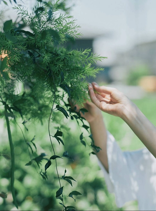 11/3(日)ワークショップ一覧