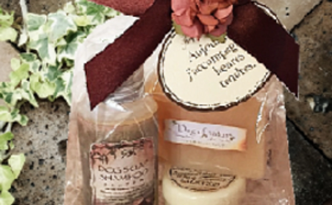 【限定5個限定コース】 