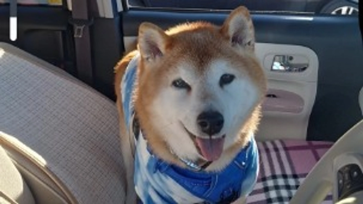 残すところ４時間です！！